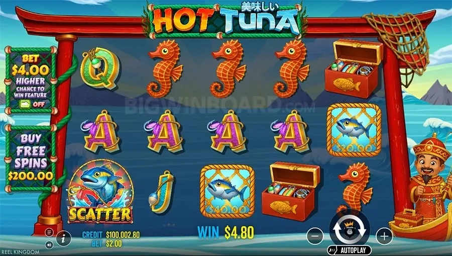 Live Casino Experience